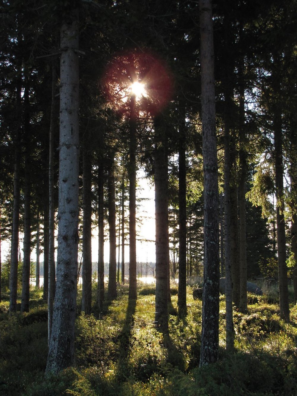 Friluftsliv stärker dig